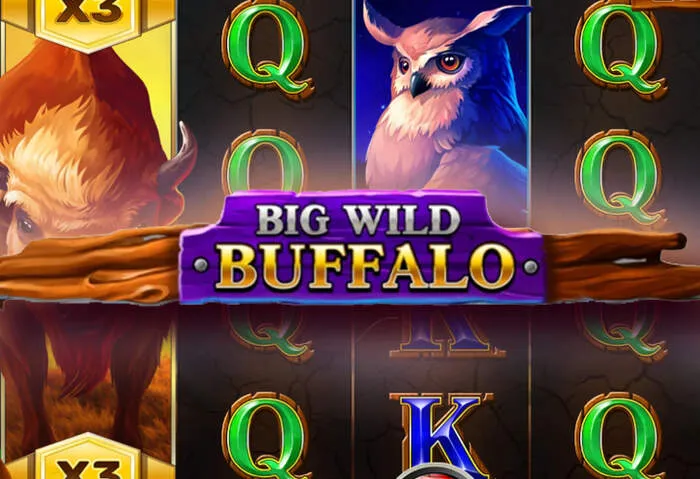 Getting started at our online casino: registration, bonuses, top games.